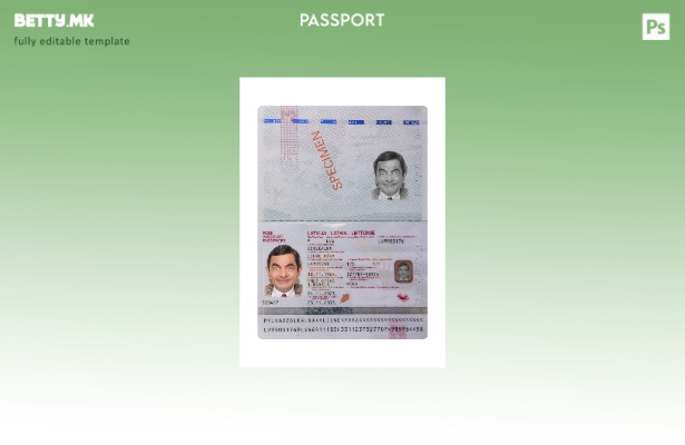 Модерен стил валиден шаблон за пасош на Латвија